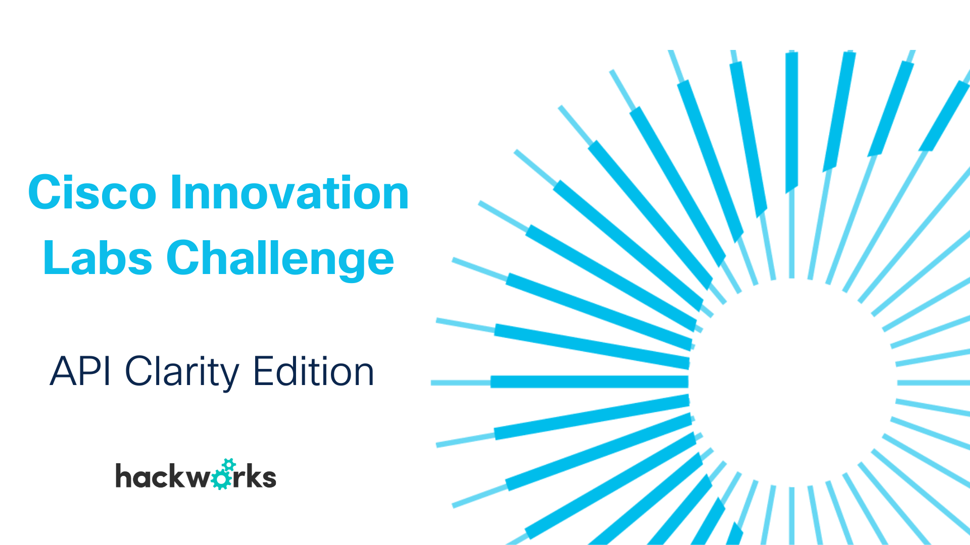 APIClarity Hubspot Banner